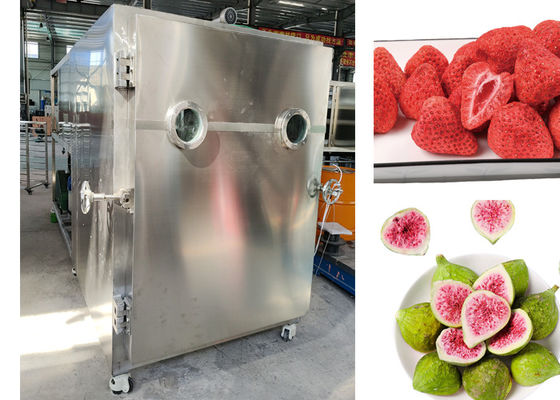 SUS 304 Hundefutter Vakuumfryser Trockner Fleisch Obst Lyophiliser