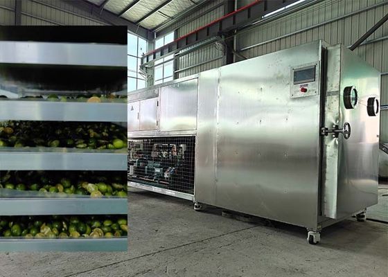 Ein leistungsfähiger Bitzer / Leybold Kühlsystem Gefriertrockner für Obst