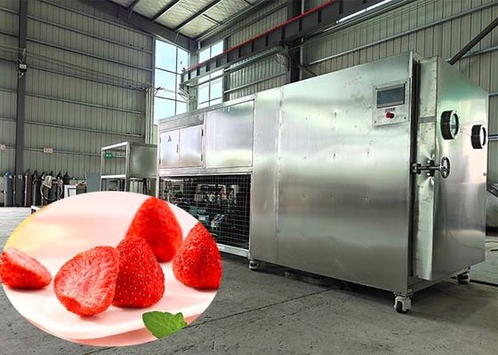 Industrielle PLC-Steuerung Lyophilisator Trockner für die pharmazeutische Industrie