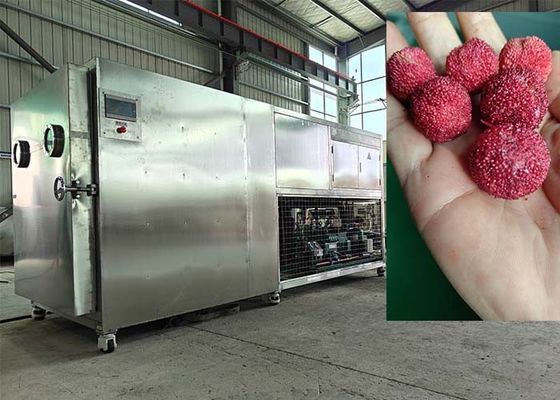 PLC-gesteuerte Vakuumfrosttrocknungsmaschine 30-35 kg/Charge
