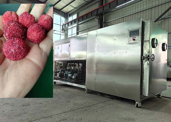 200 KG Intelligente Lebensmittel Lyophilisator Gefriertrocknungsmaschine