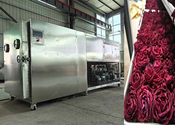 200 kg 500 kg Großkapazität Lyophilisator Gefriertrockner Maschine