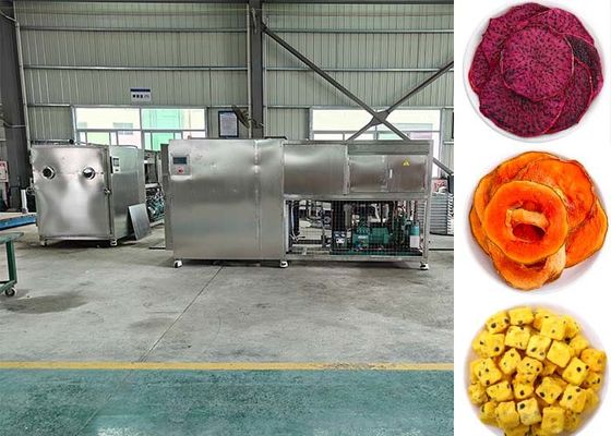 PLC-gesteuerte intelligente Früchte Gefriertrockner Fruchtmaschine