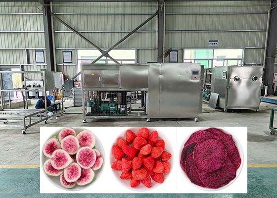 Wirkungsgrad Profi-Froze-Dehydrator mit Kaltfalle -40°C