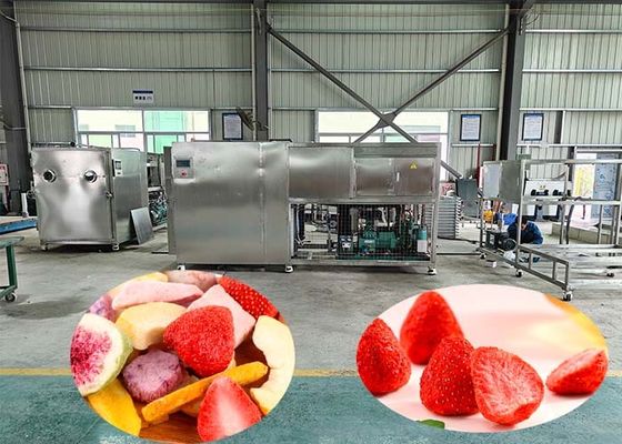 100 kg pro Charge Industrielle Gefriertrocknungsmaschine mit 60 dB