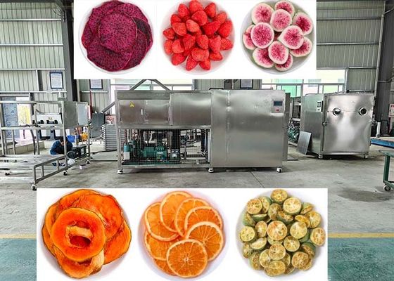 Vakuum 10Pa Gefriertrockner Lyophilisierung Maschine mit PLC-Steuerung