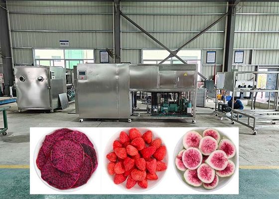 38KW elektrische Heizung Auftauen Lyophilizer Gefriertrockner Maschine