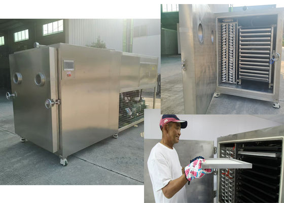 Elektrische Heizung Industrielle Gemüsefriertrockner Maschine