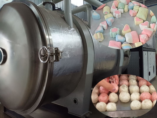 500 kg industrieller Lebensmittelfriertrockner Großer Lyophilisierer für Lebensmittelverarbeitung