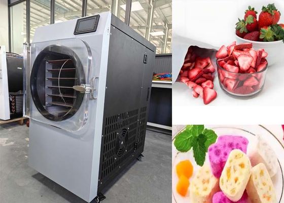 Vakuumsystem Kleines Haus Gefriertrockner für die pharmazeutische Industrie