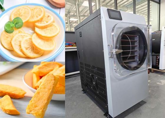 Elektrische Heizung 304 Edelstahl Lebensmittelfriertrockner für den Haushalt