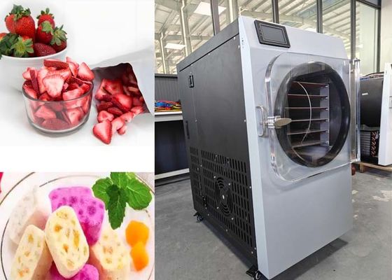 220V 20-25kg Kapazität Gefriertrocknungsmaschine für Zuhause