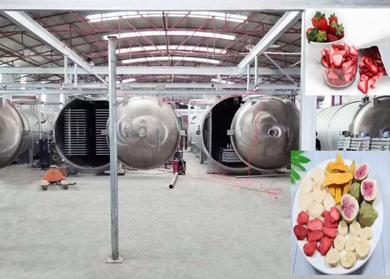 Industrielle Gefriertrockner mit PLC und Fernbedienung