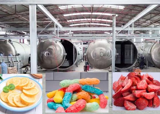 Pharmazeutische 1000kg Vakuum-Froot-Trockner Maschine fortschrittliche Trocknungstechnologie
