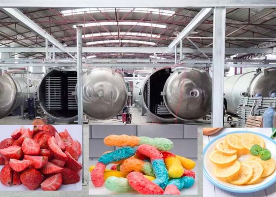 Industrielle leistungsstarke Gefriertrocknungsmaschine mit automatischem Betriebsmodus