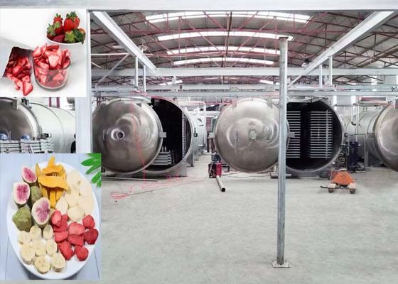1000 kg starke Vakuumfrosttrocknungsmaschine für den industriellen Einsatz