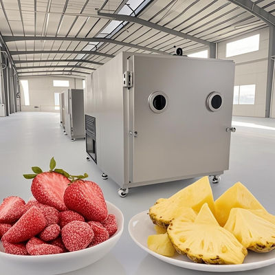 Industrie-Lebensmittel-Vakuum-Trocknungsgeräte mit Gefriertrocknungsgerät