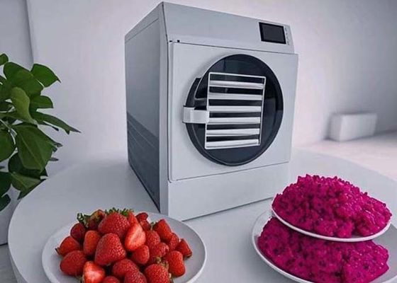 15 kg 20 kg Hausgewerbliche Gefriertrocknungsmaschine zur Langzeitkonservierung von Lebensmitteln