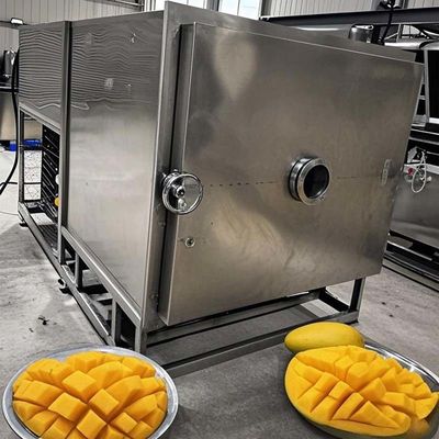FreezeDryTech Pro Mango Lebensmittellager Lyophiliser für Gemüse und Obst