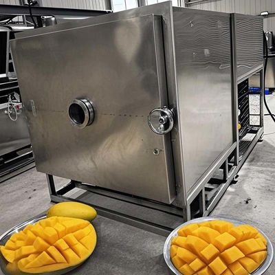Früchte und Gemüse Gefriertrocknungsmaschine Gewerblicher Lyophilisator 100 kg Kapazität
