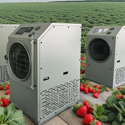 Gefriertrockner Lyophilisierung Maschine 6KG 10KG 20KG Zuhause Lebensmittelkonservierung