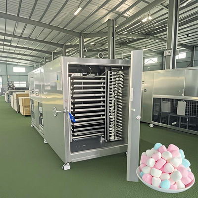 Gewerblicher Lyophilisator 50 kg Industrielle Gefriertrocknung für Milchprodukte