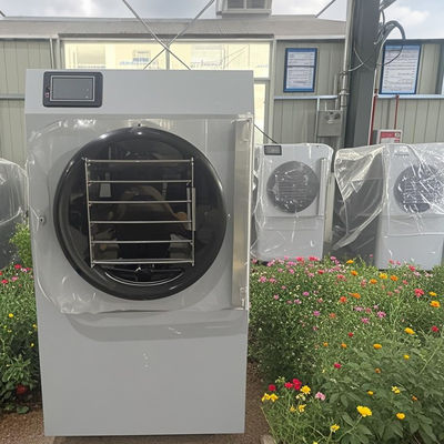 Erweiterte Kompakttechnologie 20 kg Kleines Haus Gefriertrockner Frische Energieeffiziente Mini tägliche Verwendung