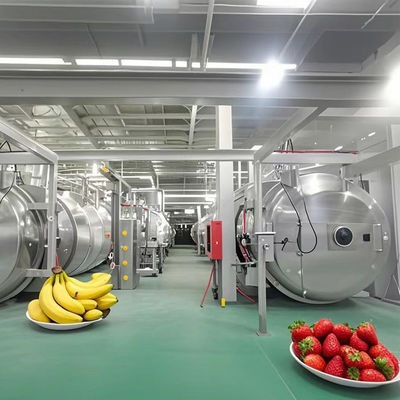 Schwerwerlast-Lyofiler 500 kg Industrielle Gefriertrockner für Obst / Gemüse / Kaffee / Meeresfrüchte