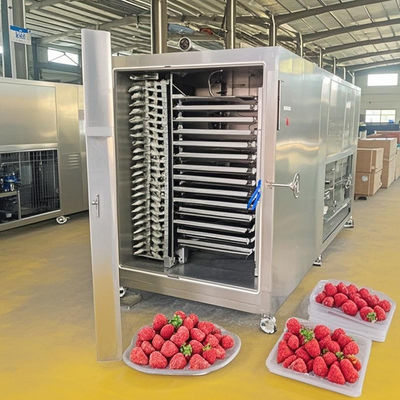 200kg Chargen-Gefriertrockner mit automatischer Steuerung für Fleisch-/Fruchttrocknung