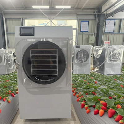 20 kg Kleine Gewerbefrosttrockner Automatische Steuerung für Kaffee / Kräuter Dehydrierung