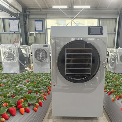 6 kg Pilot Gefriertrockner F&E zur kleinen Batchproduktion mit Touchscreen-PLC