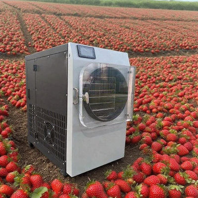 Kommerzieller Lyophilisator mit 304 Edelstahl & Bosch-Pumpe - Hochleistungsgefriertrockner