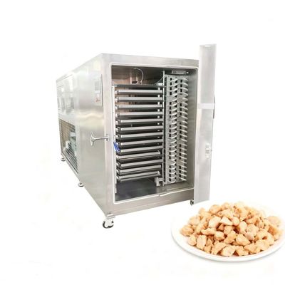 50 kg Gewerbefriertrockner - Kompakter industrieller Lyophilisator mit benutzerfreundlicher Handysteuerung