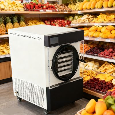 Healthy Snacks for Kids: Make 100% Natural Freeze-Dried Fruits & Yogurt at Home