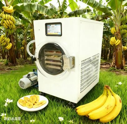 Gesunde Snacks sind einfach gemacht. Gefriergetrocknete Früchte, Joghurt & More mit Ernterecht. Keine Zusatzstoffe, alle Kontrolle