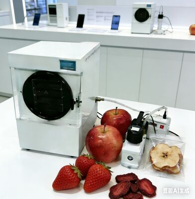 Mini-Trocknungsgerät: Speisen sparen, Abfall reduzieren! Ideal für Vorbereiter, Hausbesitzer und gesunde Familien