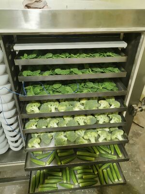 Elektrische Heizung Industrielle Gefriertrocknerei Versorgungskammer Größe 12700x2600x3300mm und Trocknungszeit 20 bis 24 Stunden Ideal für Industrie