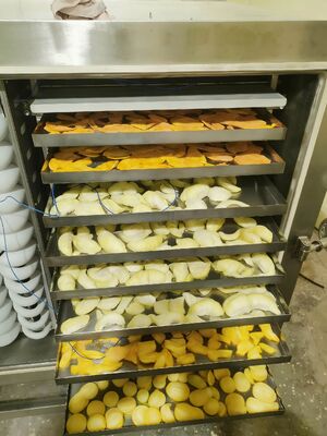 BITZER Kühlgerät Gefriertrockner Nennleistung 200 kW Gefriertrocknungsgeräte für die pharmazeutische Lebensmittel- und Chemieindustrie