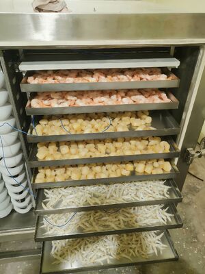 Automatischer industrieller Gefriertrockner mit einer Chargenkapazität von 1000 kg, ideal für die Konservierung von pharmazeutischen Lebensmitteln und chemischen Produkten