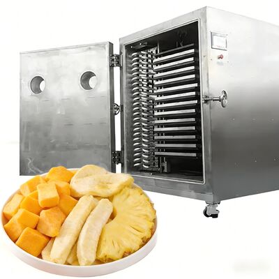 100 kg 200 kg Großkapazität Lyophilisator Gewerbliche Gefriertrockner