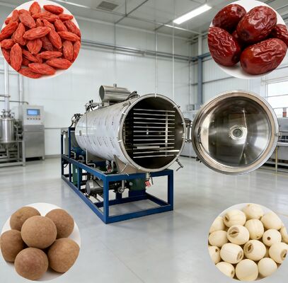 PLC-Steuerungssystem Vakuumgefriertrocknungsmaschine mit Kammergröße 12700 2600 3300mm perfekt für pharmazeutische Lebensmittel- und Chemieindustrie