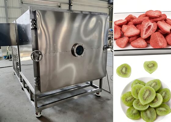 Vakuumgrad ≤10Pa Gefriertrockner für Lebensmittel mit Baosi- oder -Vakuumpumpe für die Lebensmittelindustrie