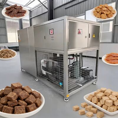 Electric Heating Food Vacuum Freeze Dryer Offering Freeze Drying Temperature Minus 40 to 80 Degrees Celsius for Food Dehydration