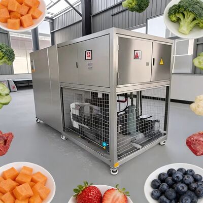 3800 1550 1850mm Lebensmittel-Vakuum-Gefriertrockner mit SPS-Steuerungssystem, 2600 kg Kapazität, perfekt für die großflächige Gefriertrocknung von Lebensmitteln