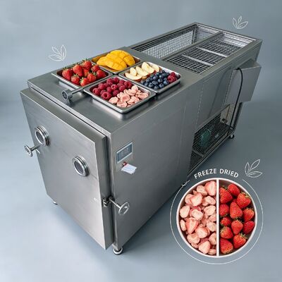Vakuum-Gefriertrocknungsanlage mit SPS-Steuerung, 220V/380V, 3 Phasen, ideal für die Gefriertrocknung von Lebensmitteln und chemischen Produkten