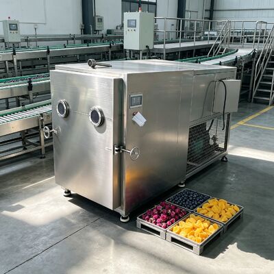 Zwei-stufen-Rotation-Vane-Vakuumpumpe Gemüse-Friestrockner EXW Automatischer Betriebsmodus für Dehydrierung und längere Haltbarkeit entwickelt